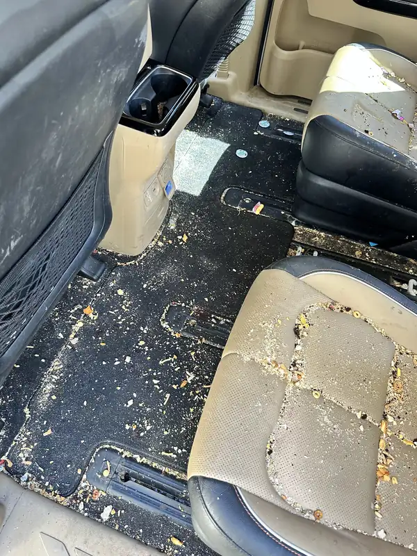 Before: crumbs and debris across the rear carpet and seat of a minivan